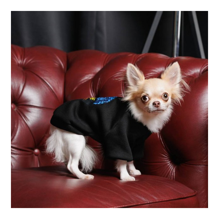 Толстовка Pet Fashion Ukraine для собак, розмір M,чорна