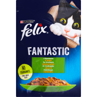 Felix fantastic rabbit