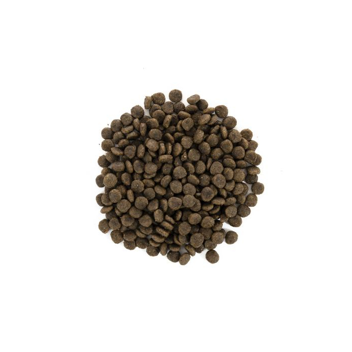 Brit Care GF Mini Hair & Skin для собак мініатюрних порід для шкіри та шерсті з лососем та оселедцем, 2кг