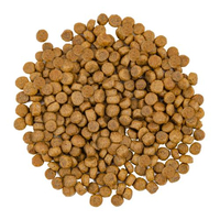 Savory CAT Gourmand Fresh Salmon & White Fish для довгошерстих котів зі свіжим лососем і білою рибою 8кг