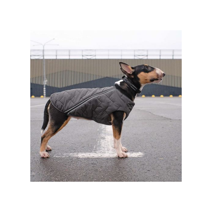Жилет Pet Fashion «E.Vest» для собак, розмір XL, сірий