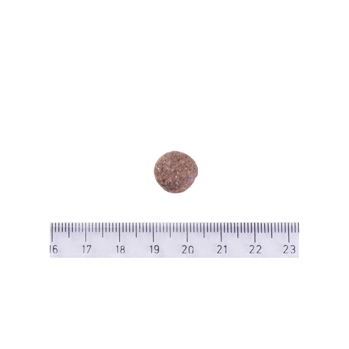 Сухий корм Brit Care DOG Grain-free Adult Salmon для собак малих і середніх порід з лососем