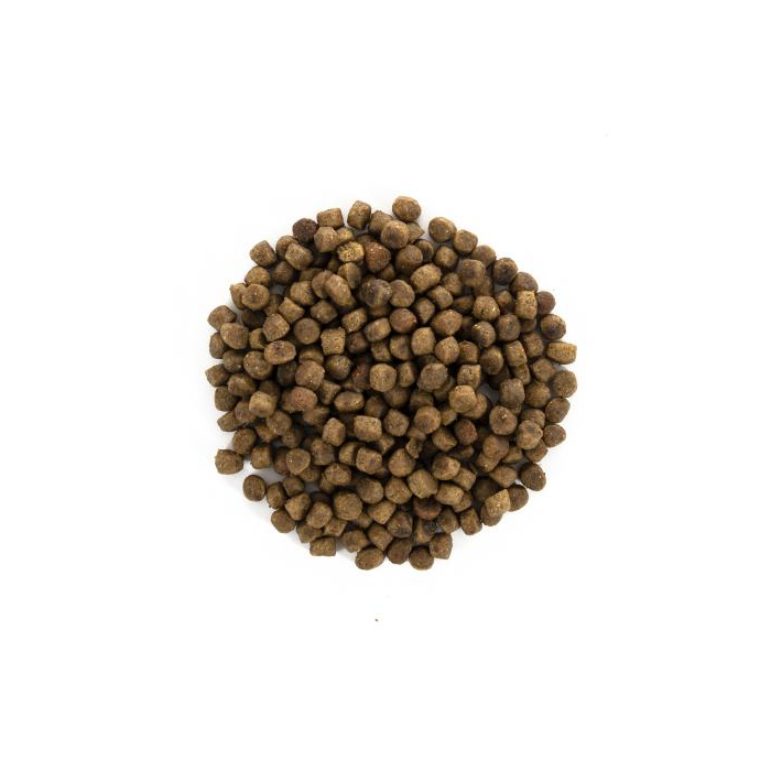 Сухий Корм Brit Care Cat GF Kitten HGrowth & Development