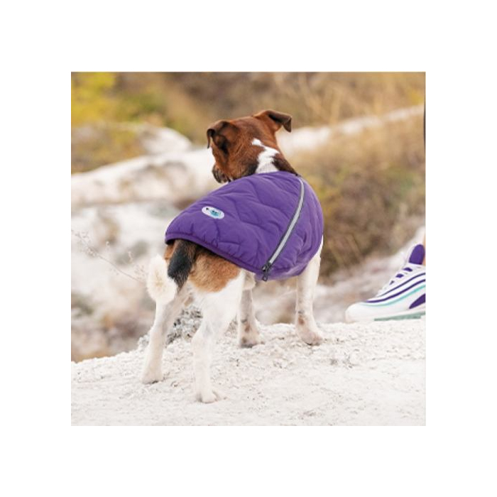 Жилет Pet Fashion «E.Vest» для собак, розмір XL, сірий