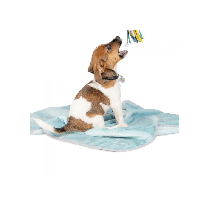Плед Pet Fashion Bliss м'ята для собак та цуценят 77х100см