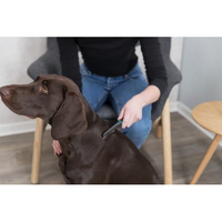 Гребінець Trixie для пошуку бліх та вошей металевий з пластиковою ручкою 21см