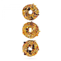 Пончики SPECIAL ONE «Смородина, ехінацея, виноград» для декоративних птахів 60г PR242518