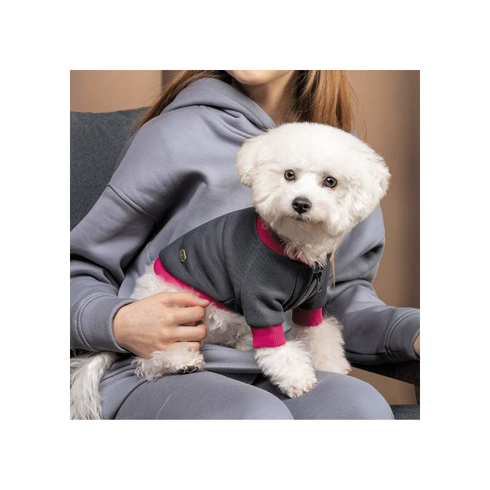 Толстовка Pet Fashion «Bim» для собак, розмір S, сіра