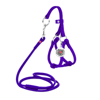 Шлея з повідцем для собак шкіряна Waudog glamur з qr паспортом кругла , Д 6 мм, А 26-46 см, В 30-50 см фіолетовий 34019 Collar