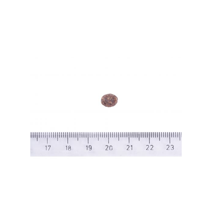 Brit Care Dog Sustainable Adult Small Breed для собак малих порід, з куркою та комахами, 7 кг