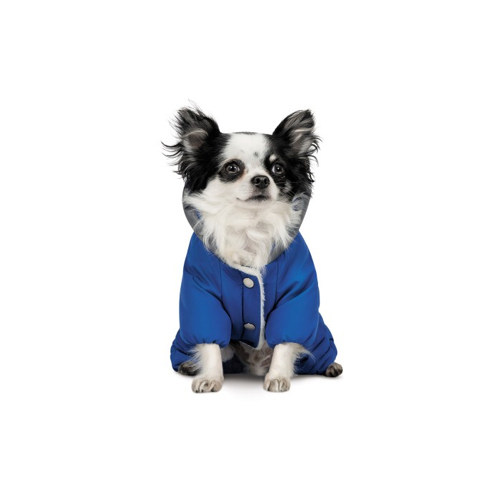 Костюм Pet Fashion Zhan для собак розмір M блакитний