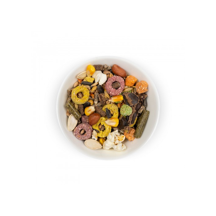 Природа Фієста Морська свинка для морських свинок