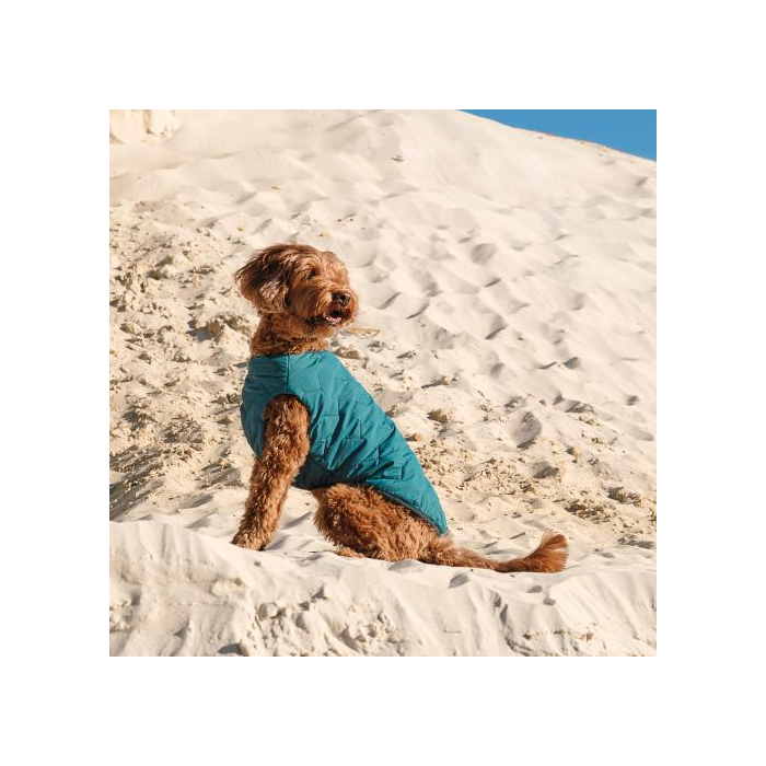 Жилет Pet Fashion «E.Vest» для собак  розмір L морська хвиля