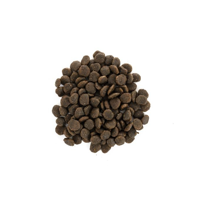 Brit Care DOG GF Mini Yorkshire для йоркширських тер'єрів з лососем та тунцем, 0,4кг