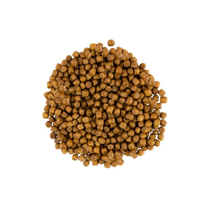 Сухий Корм Savory Kitten Chicken with Fresh Turkey