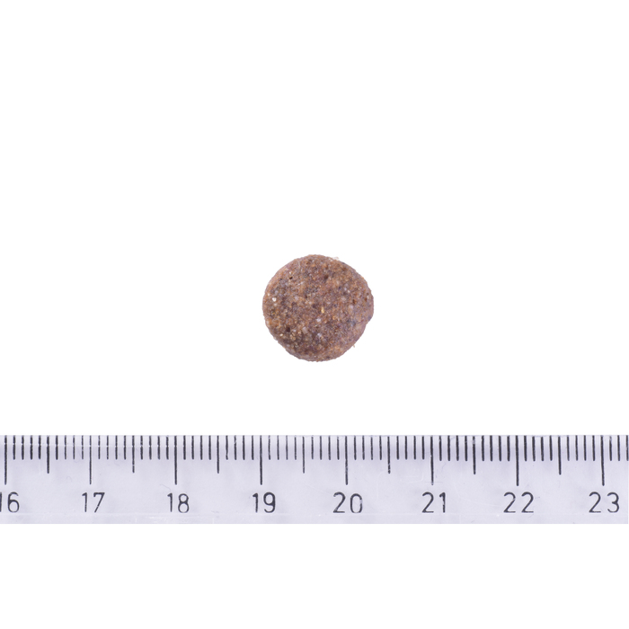 Сухий корм Brit Care DOG Grain-free Adult Salmon для собак малих і середніх порід з лососем