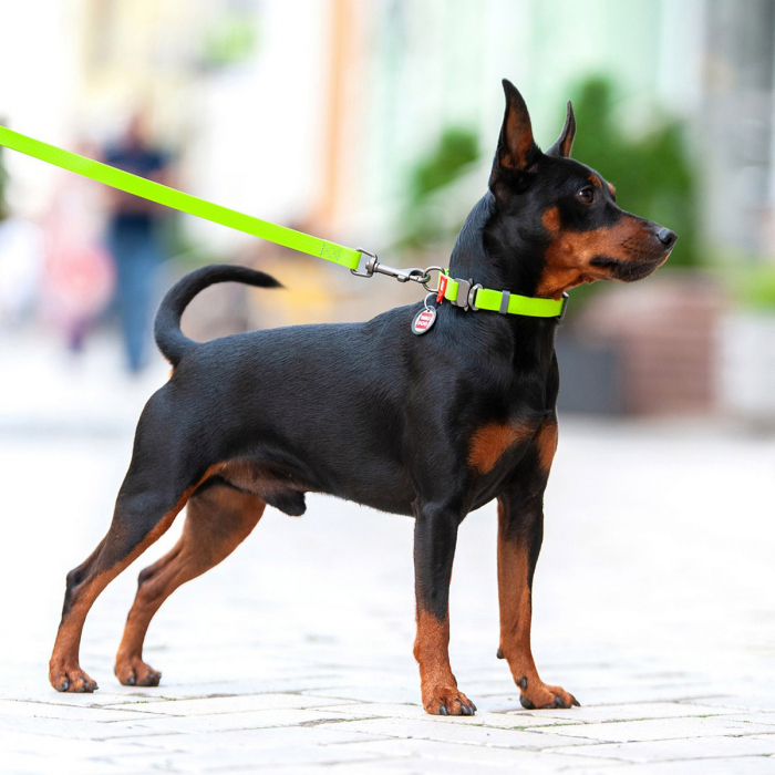 Нашийник для собак водостійкий WAUDOG Waterproof, металева пряжка-фастекс, салатовий, розмір M (28-40 см), ширина 20 мм