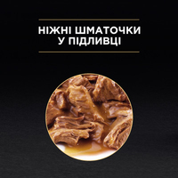 ProPlan CAT Pouch Adult Indoor Salmon вологий корм для котів з лососем в соусі