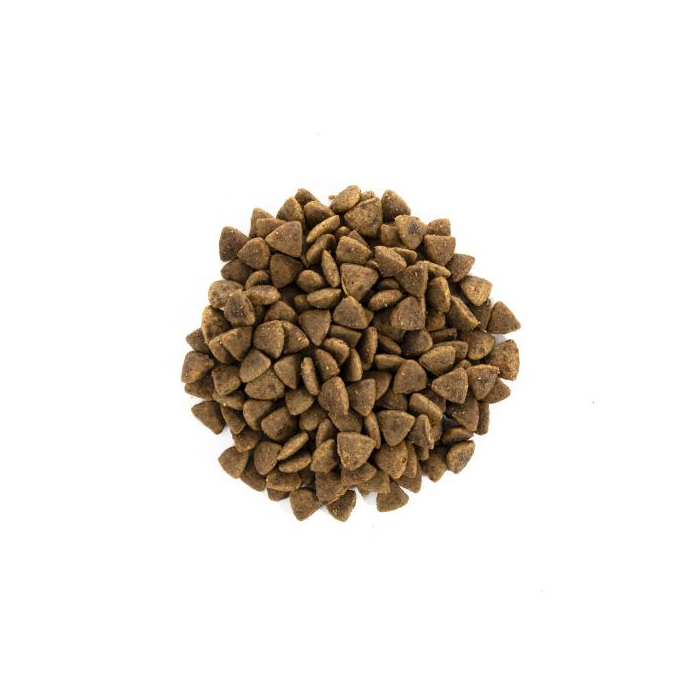 Сухий корм Brit Care CAT GF Adult Activity Support для котів які живуть на вулиці індичка та курка