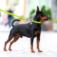 Нашийник для собак водостійкий WAUDOG Waterproof, металева пряжка-фастекс, салатовий, розмір M (28-40 см), ширина 20 мм