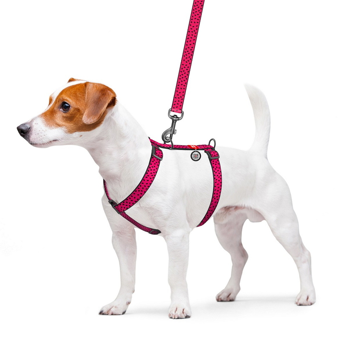 Шлея для собак анатомічна H-подібна WAUDOG Nylon з QR-паспортом, малюнок Кавун, пластиковий фастекс, S, Ш 15 мм, A 30-40, B 30-50 5613 Collar