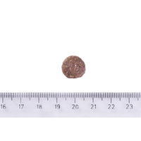 Brit Care Adult Medium Breed Lamb and Rice