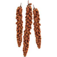 Vitakraft VITA Nature Red Foxtail Millet ласощі для папуг чуміза