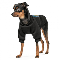 Толстовка Pet Fashion Ukraine для собак, розмір M,чорна
