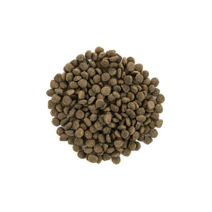 Brit Care DOG GF Mini для дорослих собак мініатюрних порід, з ягням, 0,4кг