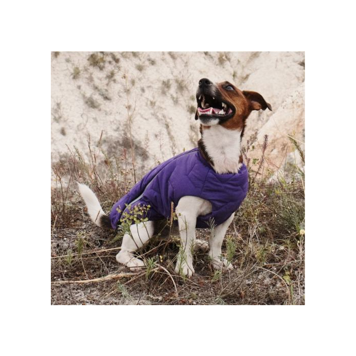 Жилет Pet Fashion «E.Vest» для собак, розмір XL, сірий