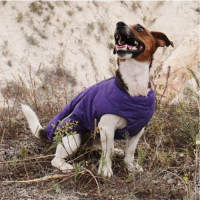 Жилет Pet Fashion «E.Vest» для собак, розмір XL, сірий