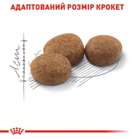 Royal Canin CAT Sterilised для стерилізованих котів 0,4кг