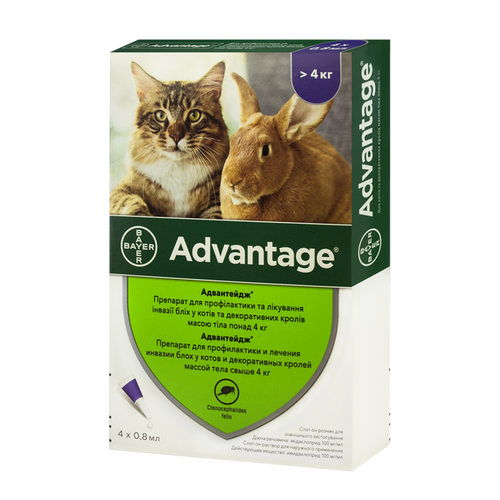 АДВАНТЕЙДЖ 80 Д/КОТОВ (1 пипетка) 54166 Bayer