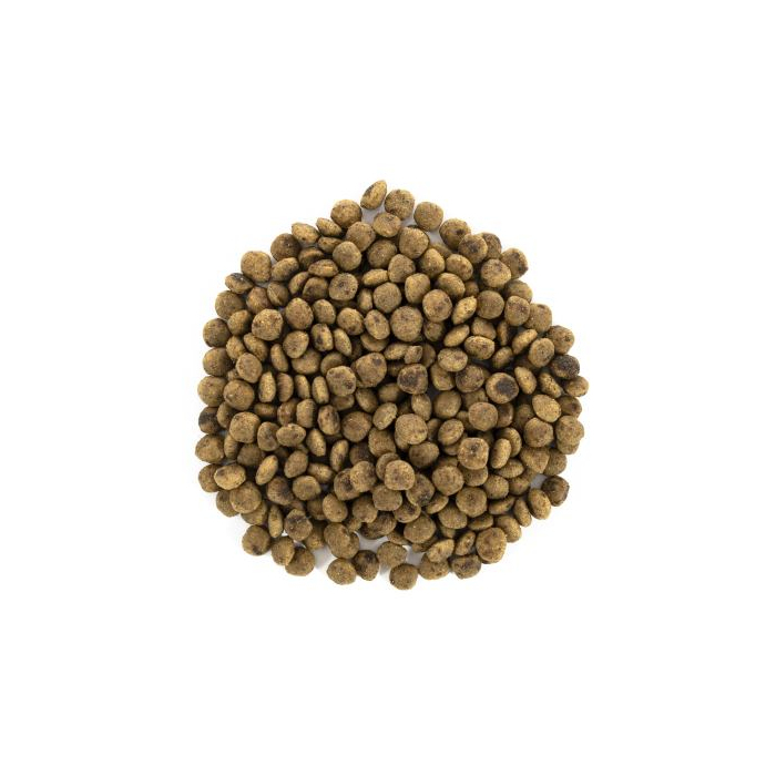 Brit Care DOG GF Mini Sensitive