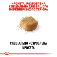 Royal Canin Yorkshire Terrier для собак породи Йоркширський тер'єр
