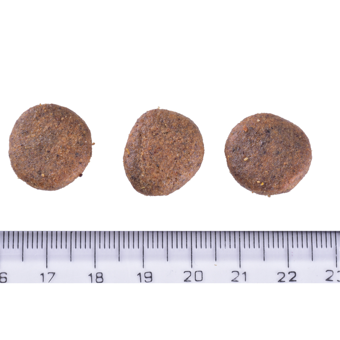 Brit Care DOG Grain-free Senior & Light для старіючих собак, беззерновий з лососем,