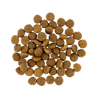 Savory Puppy rich in Fresh Turkey and Chicken