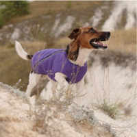 Жилет Pet Fashion «E.Vest» для собак, розмір XL, сірий
