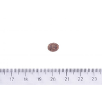 Brit Care Dog Sustainable Adult Small Breed для собак малих порід, з куркою та комахами, 7 кг