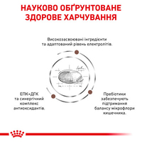 Royal Canin CAT Gastrointestinal Fibre Response для котів при порушеннях травлення 0,4кг