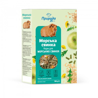 Природа Морська свинка для морських свинок