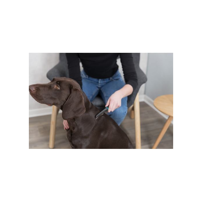 Гребінець Trixie для пошуку бліх та вошей металевий з пластиковою ручкою 21см