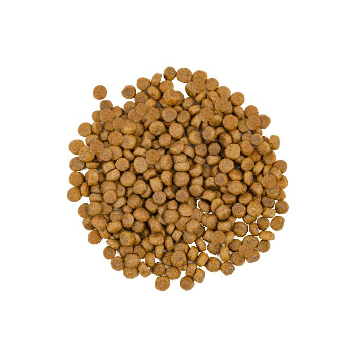 Savory CAT Gourmand Fresh Salmon & White Fish для довгошерстих котів зі свіжим лососем і білою рибою 8кг