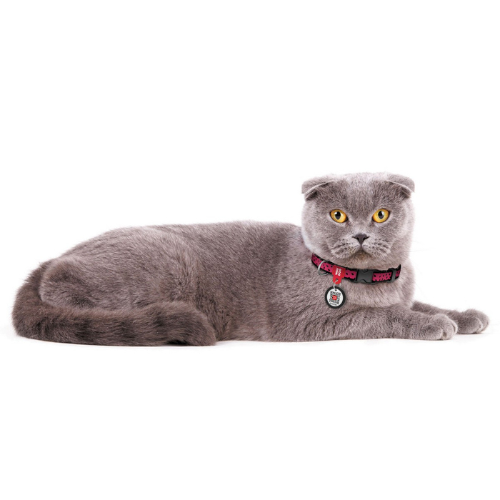 Нашийник для собак нейлоновий WAUDOG Nylon з QR паспортом, малюнок Кавун, пластиковий фастекс, Ш 10 мм, Дов 20-30 см 5226 Collar