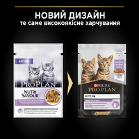 ProPlan CAT Pauch Kitten Healthy Start Turkey in gravy вологий корм для кошенят індичка шматочками в соусі