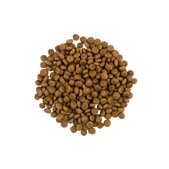 Сухий Корм Savory Adult Cat Gourmand Fresh Turkey and Duck