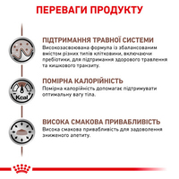 Royal Canin CAT Gastrointestinal Fibre Response для котів при порушеннях травлення 0,4кг