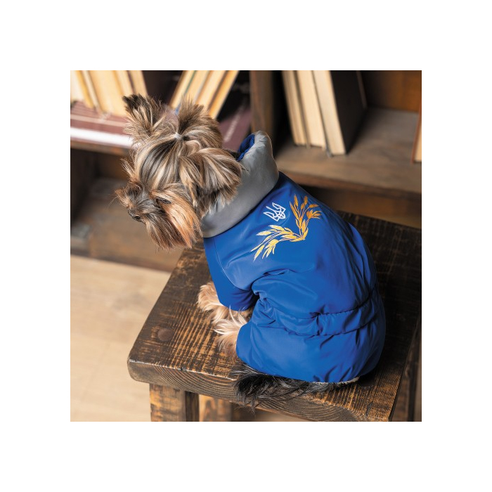 Костюм Pet Fashion Zhan для собак розмір M блакитний