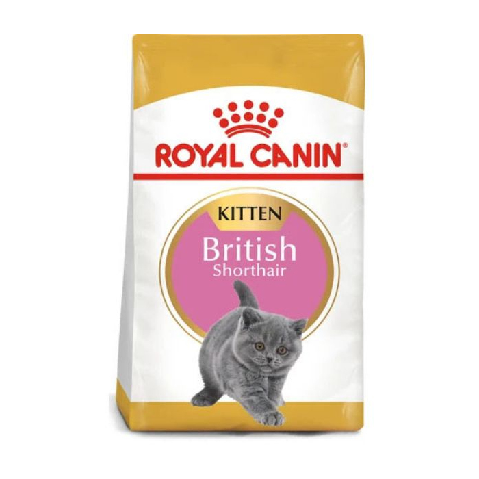 Royal Canin Kitten British Shorthair