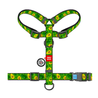 Шлея для собак анатомічна H-подібна WAUDOG Nylon з QR-паспортом, малюнок Авокадо, пластиковий фастекс, S, Ш 15 мм, A 30-40, B 30-50 5612 Collar